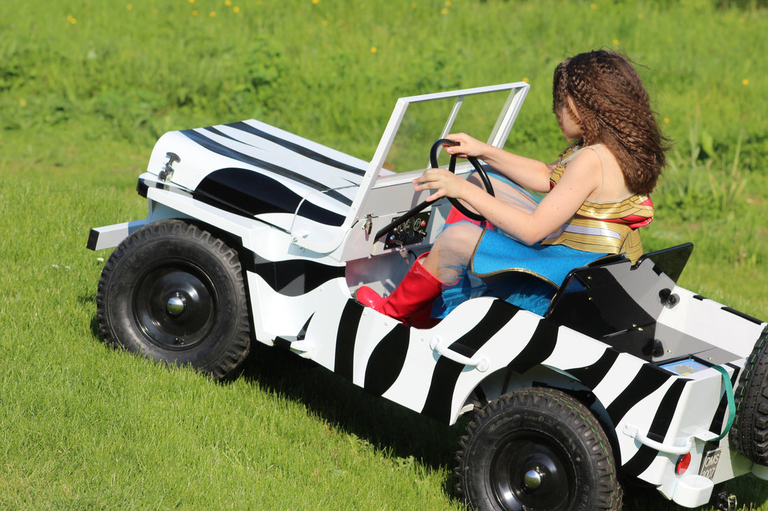 Toylander - a huge success